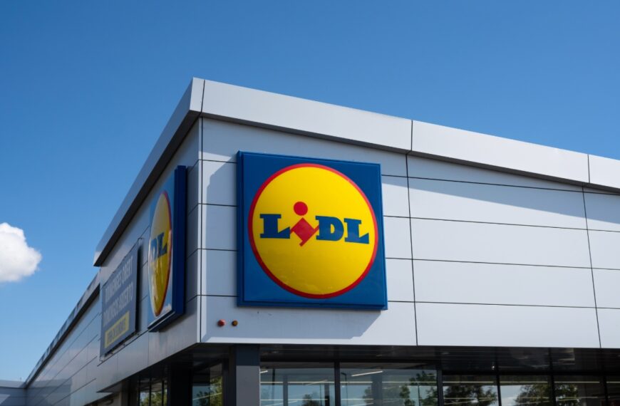 Lidl lanceert een frisse oplossing onder de 15 € perfect voor kleine appartementen