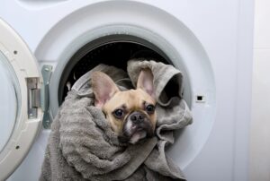 Deur van de wasmachine, dicht of open? De fout die u veel geld kost aan elektriciteit