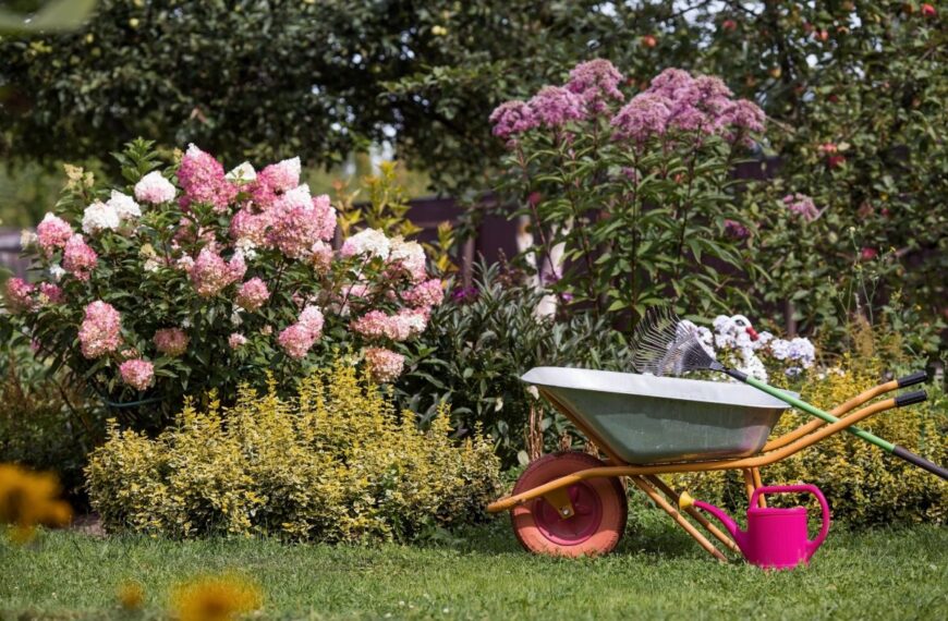 Aluminiumfolie: 10 weinig bekende tips om uw tuin gemakkelijk te onderhouden