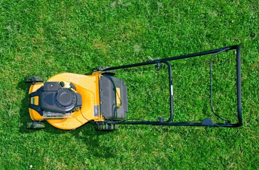 Op welke datum moet het gazon voor het eerst na de winter worden gemaaid? Hier is het antwoord