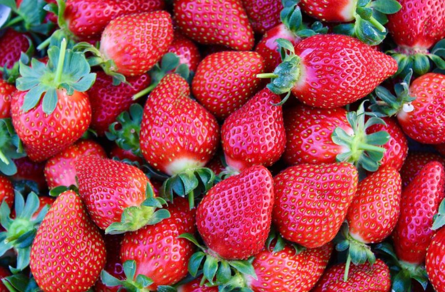De beste plek om uw aardbeien vers te houden is niet in de koelkast