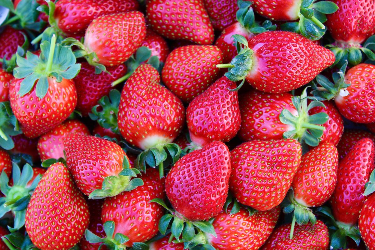 De beste plek om uw aardbeien vers te houden is niet in de koelkast