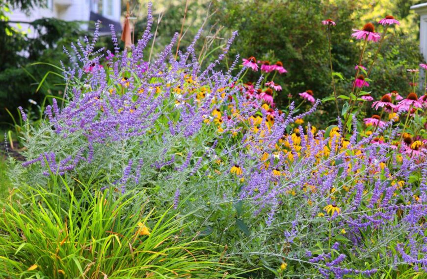 Combineer deze planten in de tuin: ze groeien beter samen volgens tuinbouwers