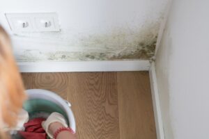 De keukentip die schimmel van uw muren verwijdert in een oogwenk
