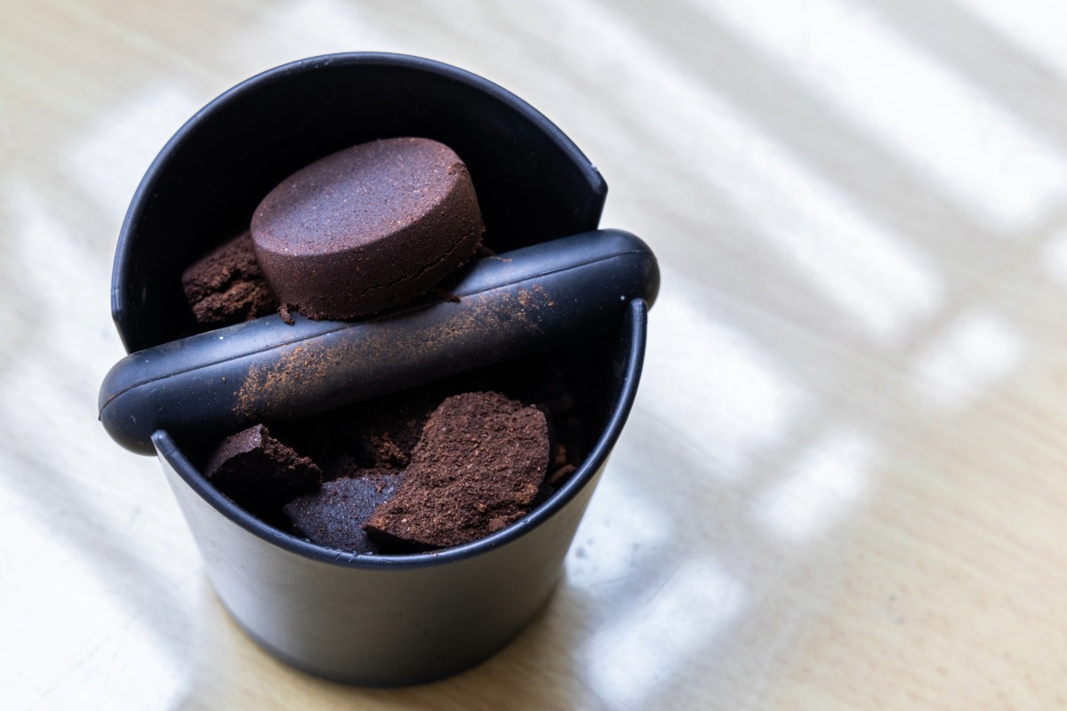 Is koffiedik effectief tegen mieren? Een expert antwoordt