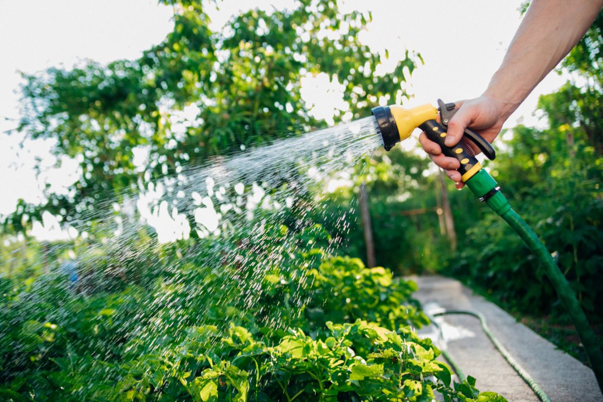 6 waterfouten die u maakt zonder het te weten, volgens loodgieters (en die uw rekeningen verhogen)