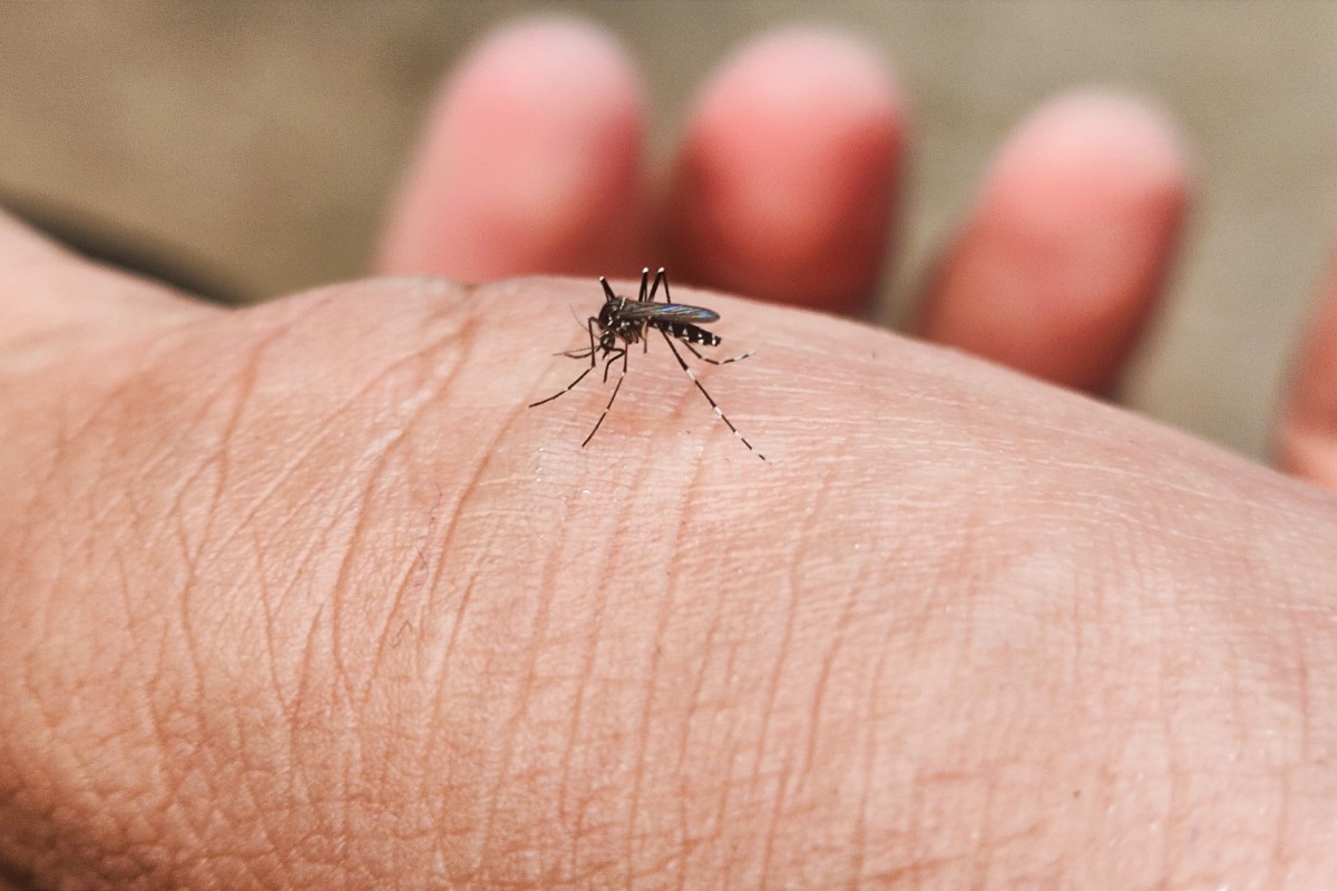 De meest effectieve tips om deze zomer vaarwel te zeggen tegen muggen