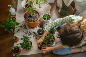 Voordat u op vakantie gaat, controleer dit 15 dagen van tevoren om uw planten te redden