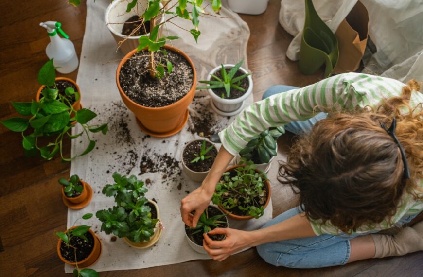 Voordat u op vakantie gaat, controleer dit 15 dagen van tevoren om uw planten te redden