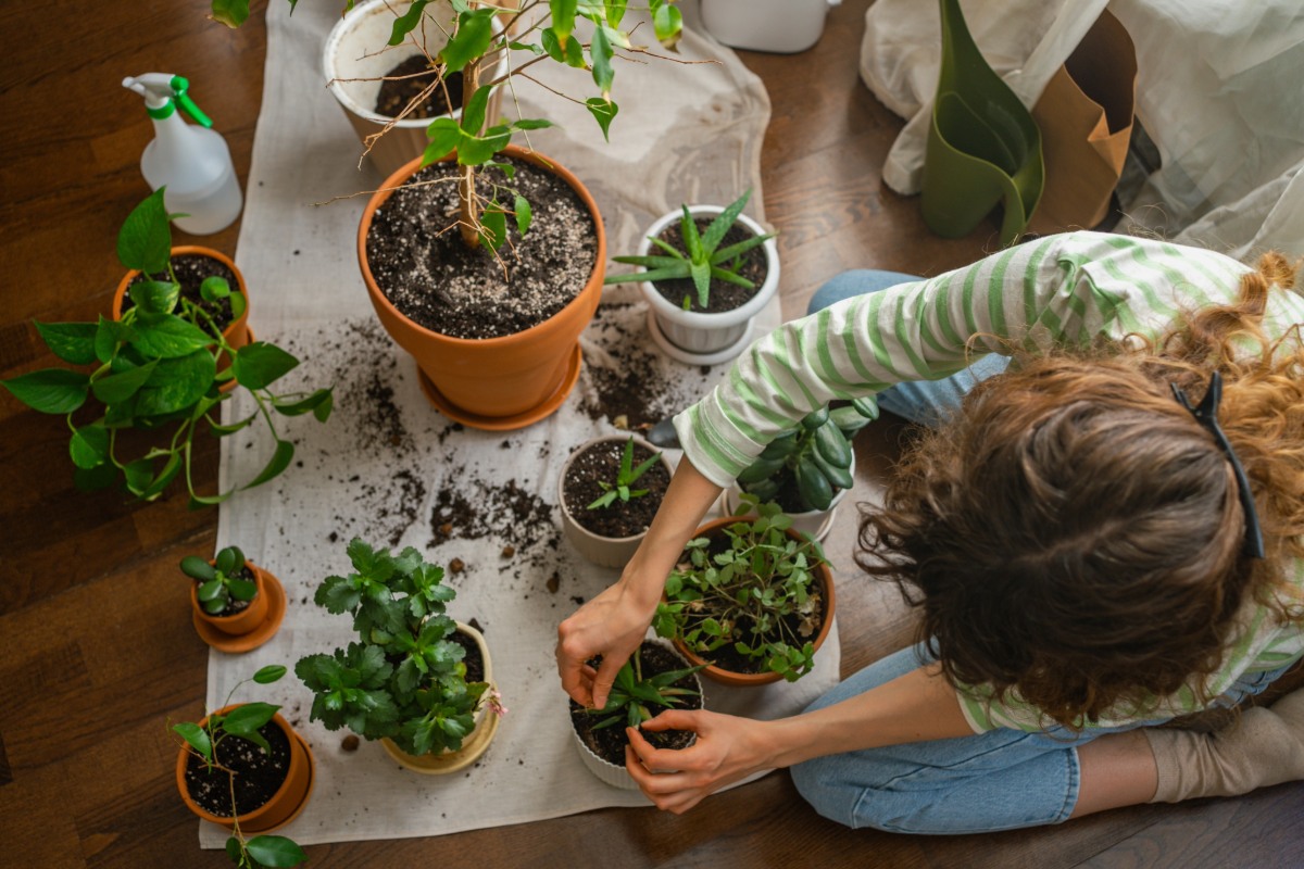 Voordat u op vakantie gaat, controleer dit 15 dagen van tevoren om uw planten te redden