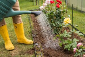 Bewateren in de zomer: wanneer, hoeveel en de fouten die u moet vermijden voor echte waterbesparing