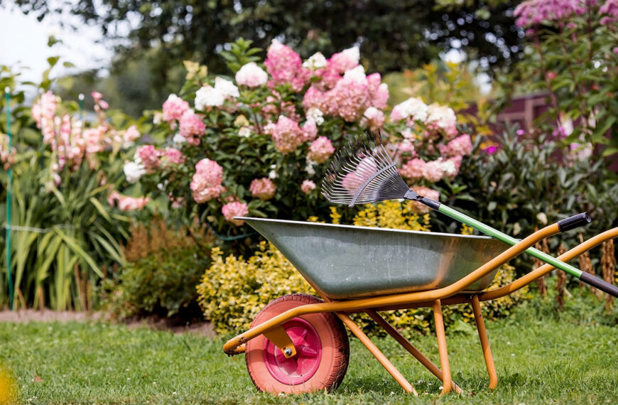 September: de essentiële tuinklussen om de tuin winterklaar te maken