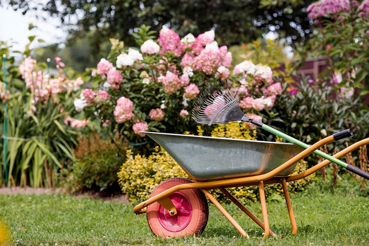 September: de essentiële tuinklussen om de tuin winterklaar te maken