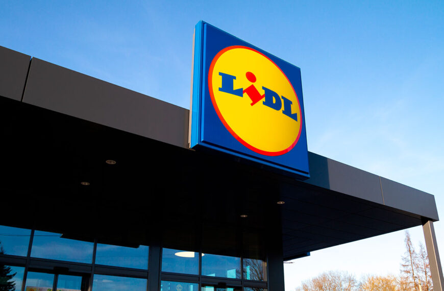 Voor € 29,99 verslindt dit 3-in-1-apparaat van Lidl in een mum van tijd bladeren